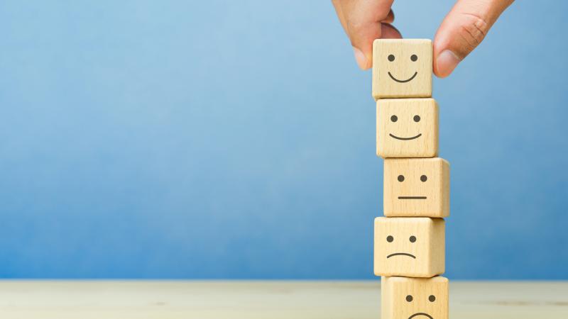 Wellbeing Barometer Survey